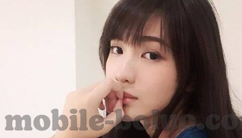大象传媒麻豆软件-探索大象传媒与麻豆软件，数字时代的创意与互动新篇章