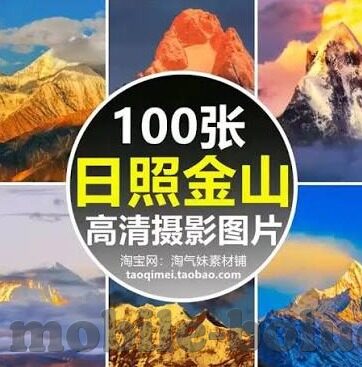 大象传媒免费进入在线-免费进入在线，大象传媒的独特魅力