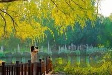 国产成人无遮挡av麻豆-跳动时代的新颜，国产无滤镜成人内容的互联网启示录