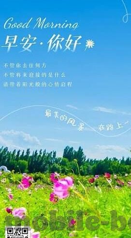伦理小说下载-伦理小说下载，在虚拟与现实间寻找道德的平衡