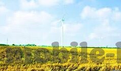 麻豆传媒app免费网站-数字化时代的网络文化探索与内容选择指南