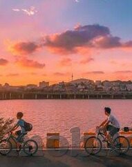 欧美视频成人在线-欧美视频成人在线，文化、艺术与个人选择的交汇点
