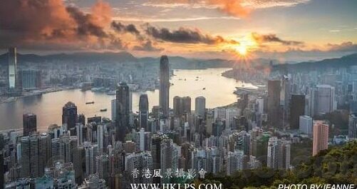 糖心app软件下载ios-探索糖心app的iOS下载之旅，解锁优质社交的新方式